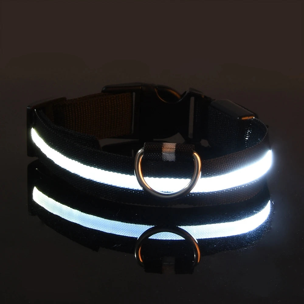 Illuminate Your Dog's Walks with the Nylon LED Night Safety Flashing Glow-in-the-Dark Dog Leash and Collar