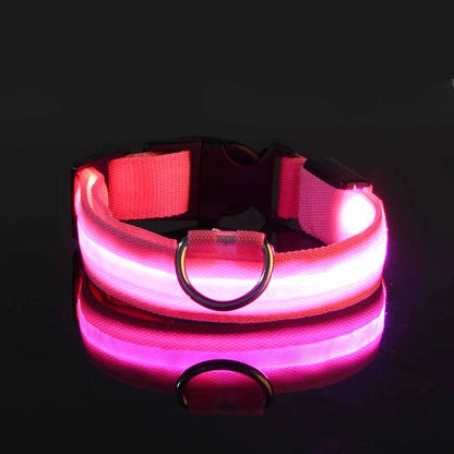 Illuminate Your Dog's Walks with the Nylon LED Night Safety Flashing Glow-in-the-Dark Dog Leash and Collar