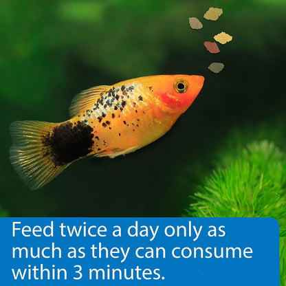 Premium Tropical Flakes Fish Food - 5.7 Ounce Container for Vibrant, Healthy Fish