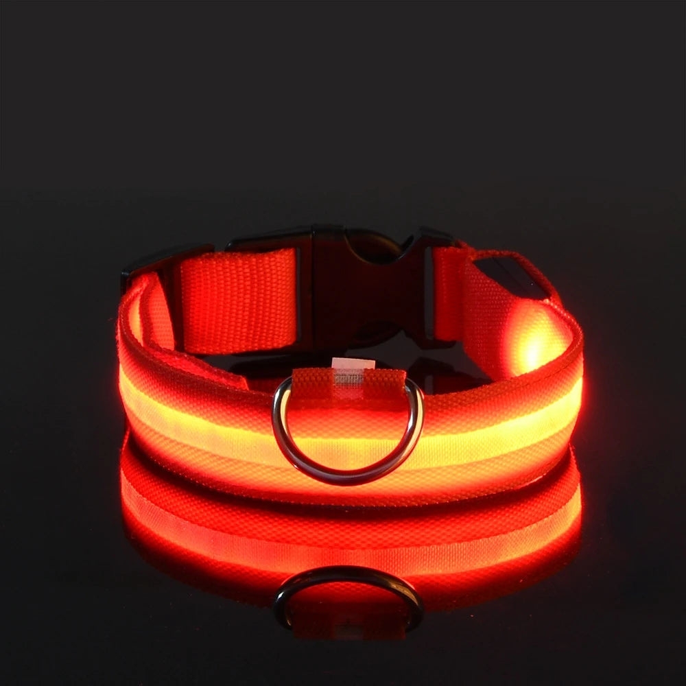 Illuminate Your Dog's Walks with the Nylon LED Night Safety Flashing Glow-in-the-Dark Dog Leash and Collar