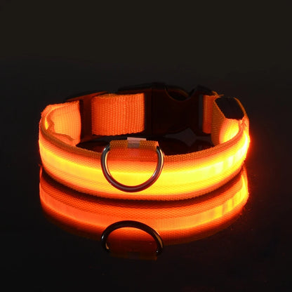Illuminate Your Dog's Walks with the Nylon LED Night Safety Flashing Glow-in-the-Dark Dog Leash and Collar