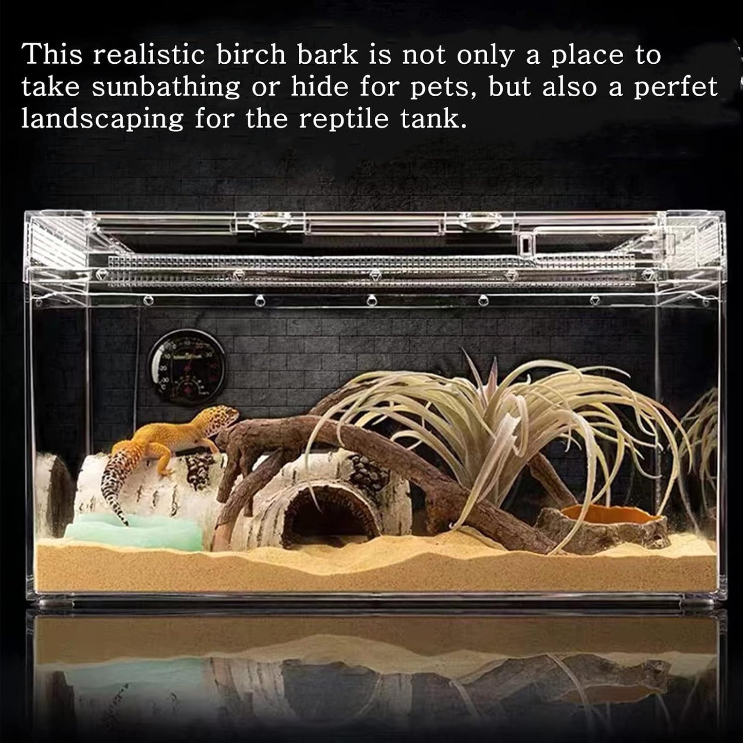 Transform Your Pet's Habitat with Our Realistic Birch Tree Bark Trunk Hides - Perfect for Small Reptiles and Amphibians!
