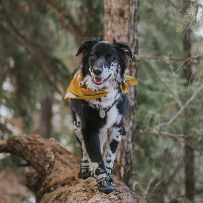 Ultimate Dog Shoes for Large Dogs - Protect Your Pup's Paws from Hot Pavement, Snow, and Rain with Water-Resistant, Skid-Resistant Boots for All Seasons!