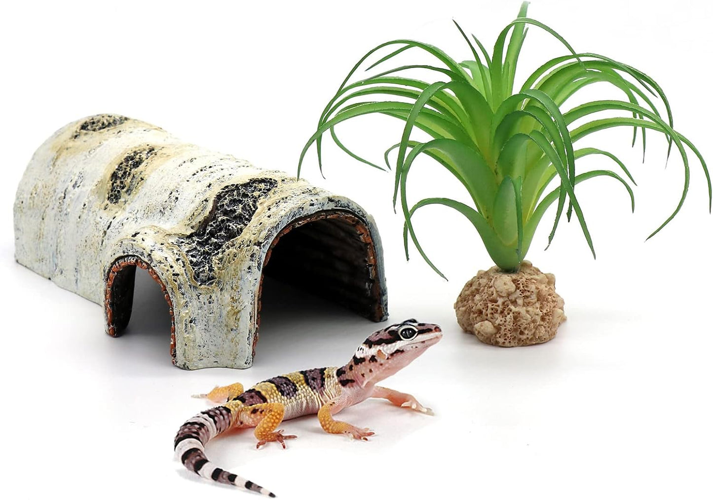 Transform Your Pet's Habitat with Our Realistic Birch Tree Bark Trunk Hides - Perfect for Small Reptiles and Amphibians!
