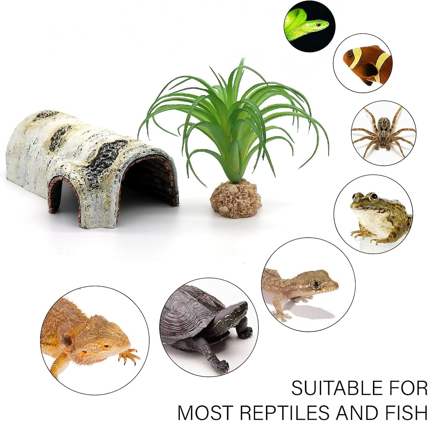 Transform Your Pet's Habitat with Our Realistic Birch Tree Bark Trunk Hides - Perfect for Small Reptiles and Amphibians!