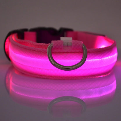 Illuminate Your Dog's Walks with the Nylon LED Night Safety Flashing Glow-in-the-Dark Dog Leash and Collar