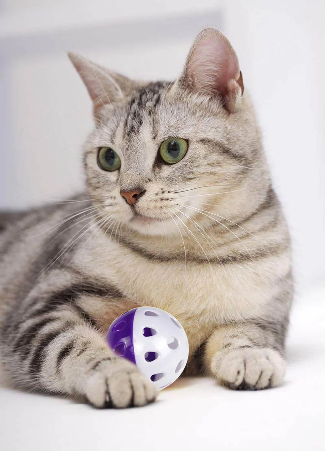 Exciting 6-Pack Cat Toy Bell Balls - Interactive Playtime Fun for Your Kitten!