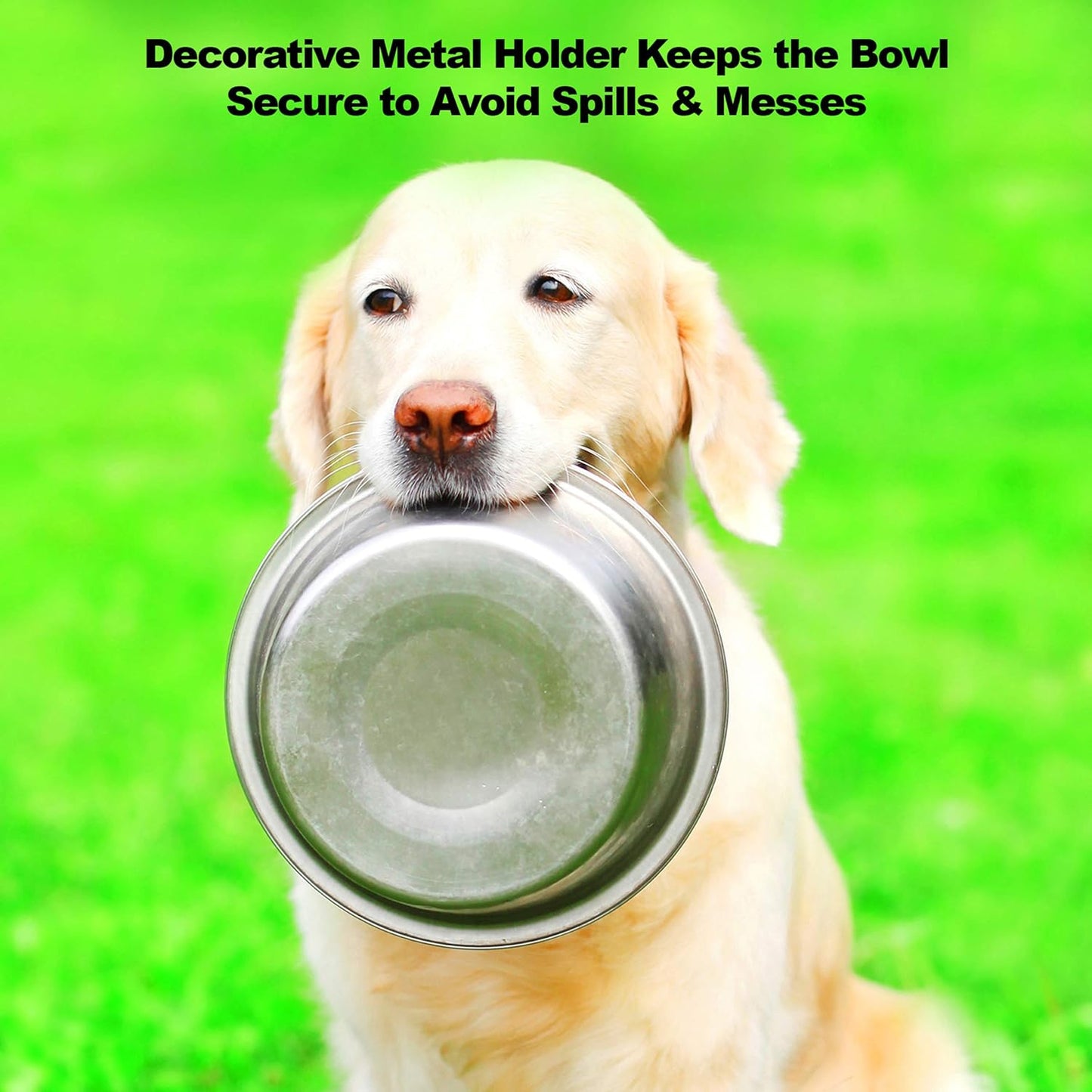 Elevate Your Pet's Dining Experience with Our Stylish Set of 2 Stainless Steel Dog Bowls - 40oz Capacity with Decorative Stand for Large Pets