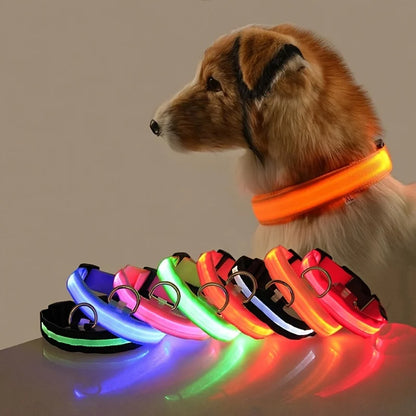 Illuminate Your Dog's Walks with the Nylon LED Night Safety Flashing Glow-in-the-Dark Dog Leash and Collar