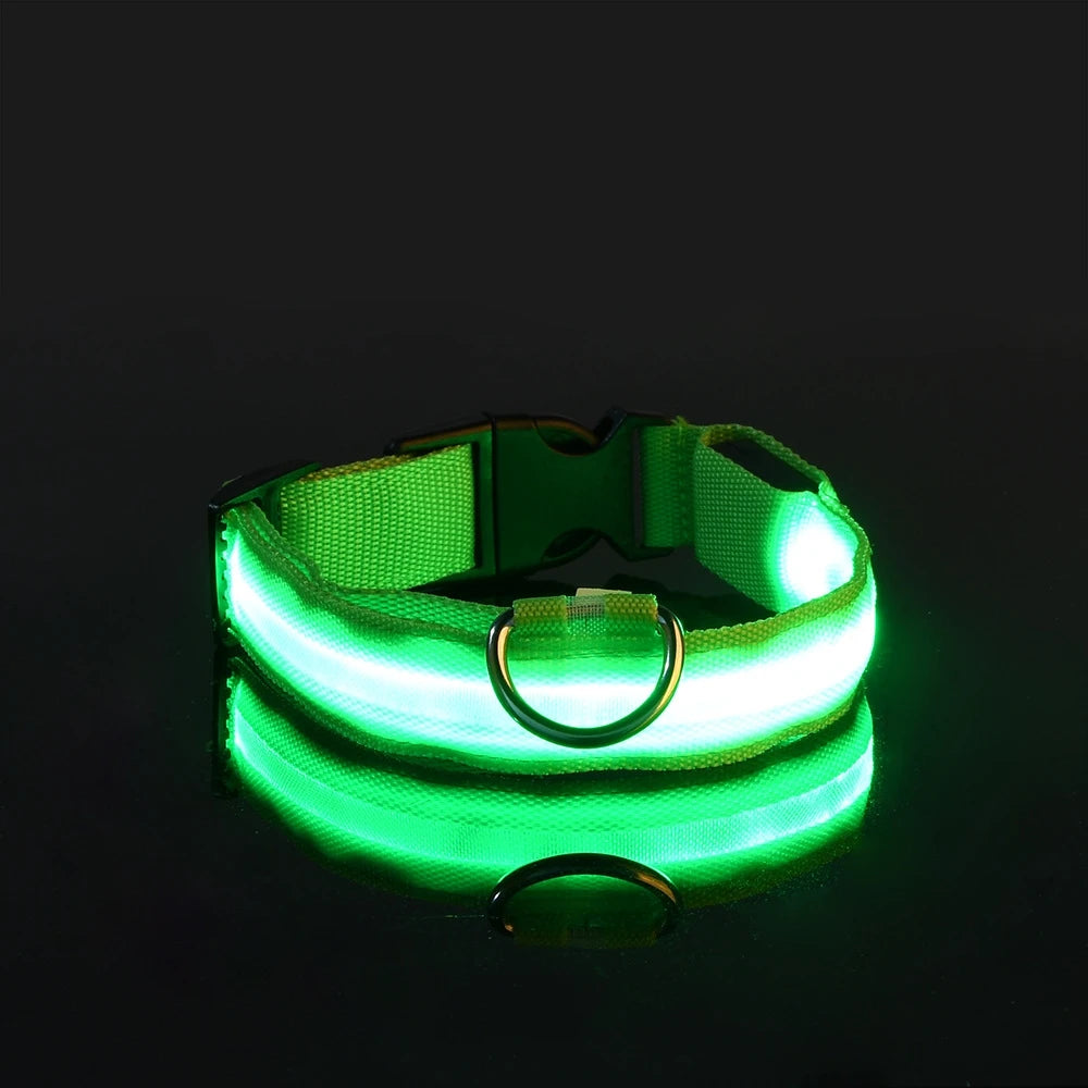 Illuminate Your Dog's Walks with the Nylon LED Night Safety Flashing Glow-in-the-Dark Dog Leash and Collar