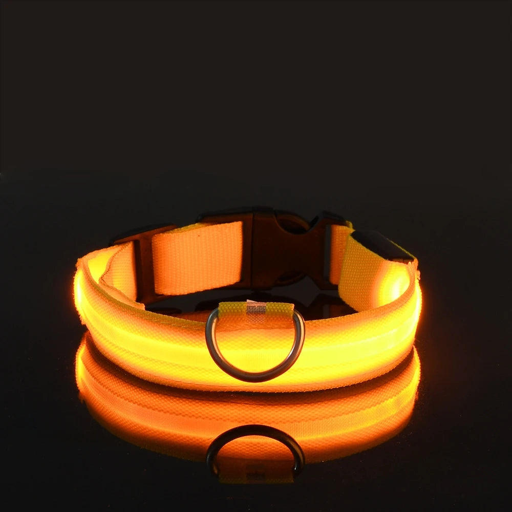Illuminate Your Dog's Walks with the Nylon LED Night Safety Flashing Glow-in-the-Dark Dog Leash and Collar